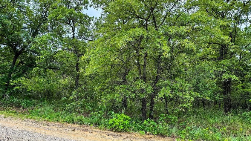 Recently, a builder from Dallas-Ft Worth area purchased the - photo 18
