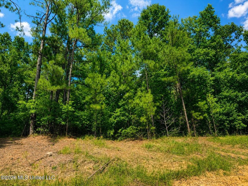 4.4+/- Acres | South Greene County | Vernal Community Beautiful - photo 3