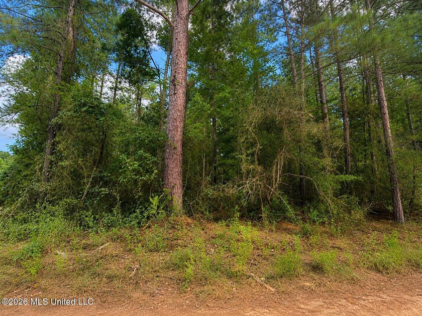 4.4+/- Acres | South Greene County | Vernal Community Beautiful - photo 6