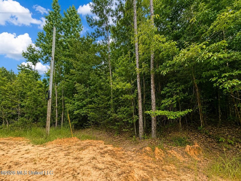 4.4+/- Acres | South Greene County | Vernal Community Beautiful - photo 7