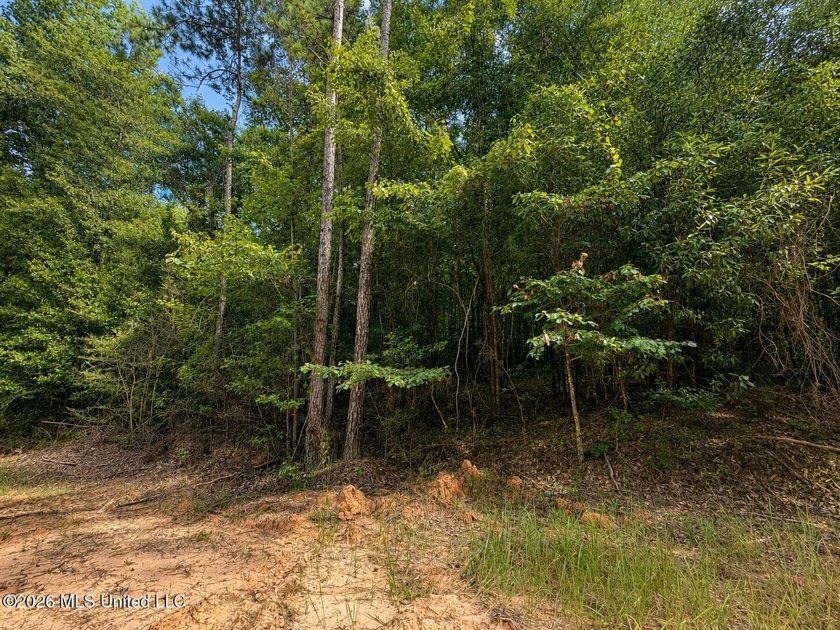 4.4+/- Acres | South Greene County | Vernal Community Beautiful - photo 8