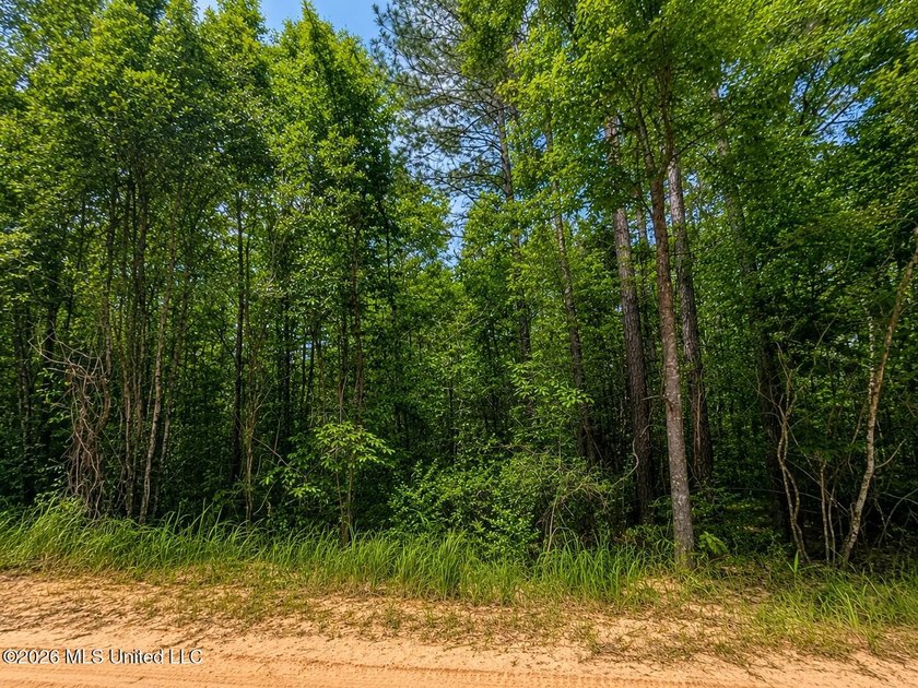 4.4+/- Acres | South Greene County | Vernal Community Beautiful - photo 10