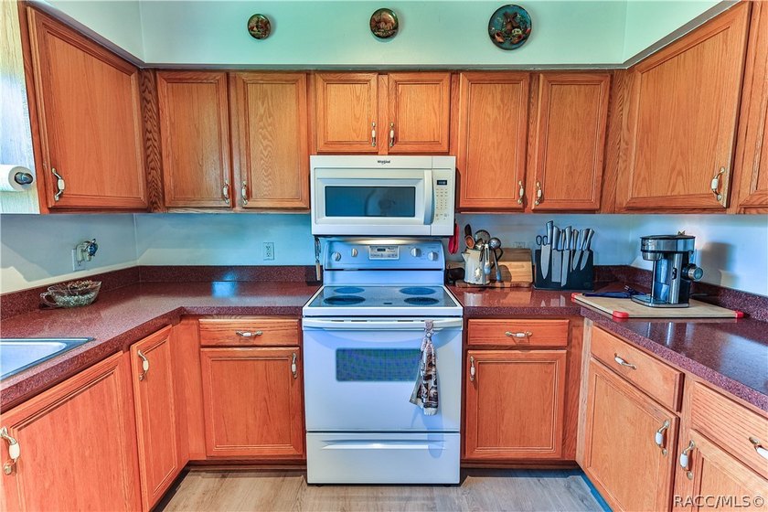 Great price for a great 3-bedroom 2-bath home in Homosassa. The - photo 10