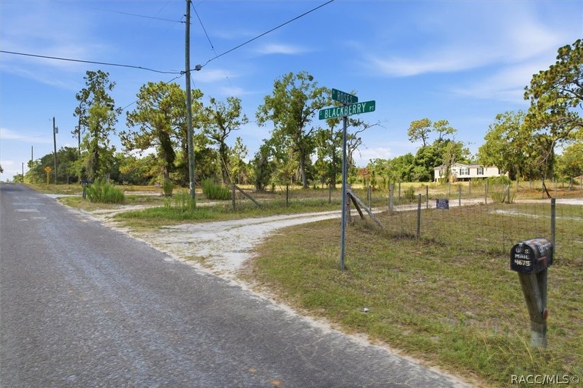 Affordable opportunity on 1.40 acres in Homosassa! This - photo 2