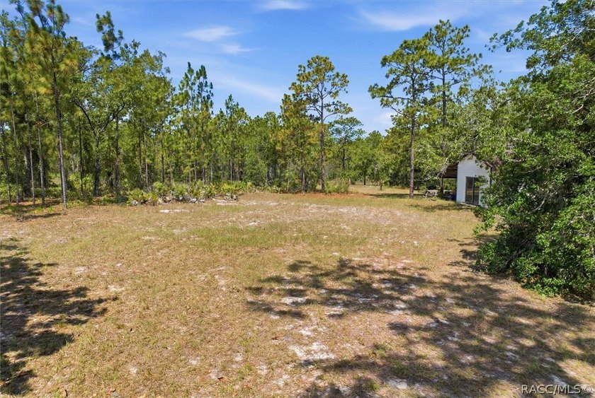 Affordable opportunity on 1.40 acres in Homosassa! This - photo 5
