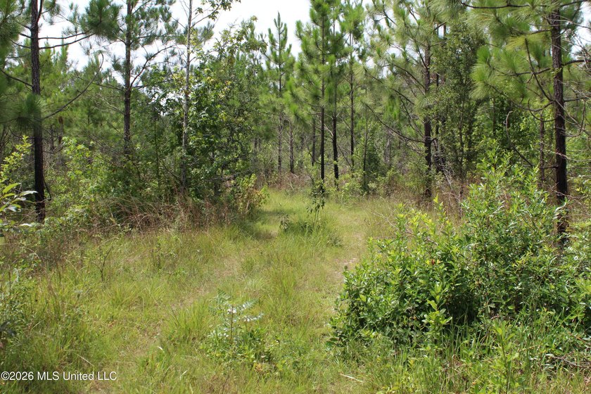 Rare 6.66-acre tract offering privacy, natural beauty and - photo 3
