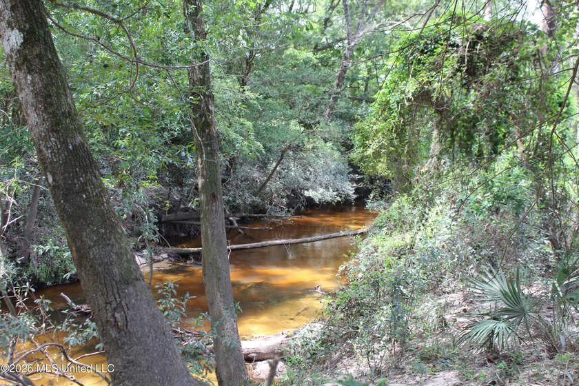 Rare 6.66-acre tract offering privacy, natural beauty and - photo 4
