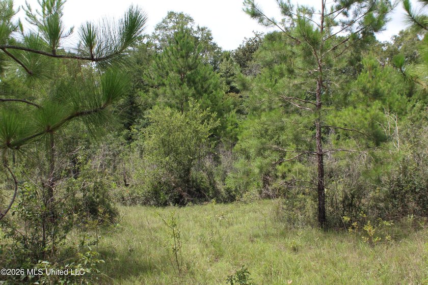 Rare 6.66-acre tract offering privacy, natural beauty and - photo 7