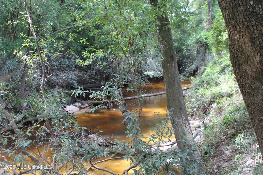 Rare 6.66-acre tract offering privacy, natural beauty and - photo 10