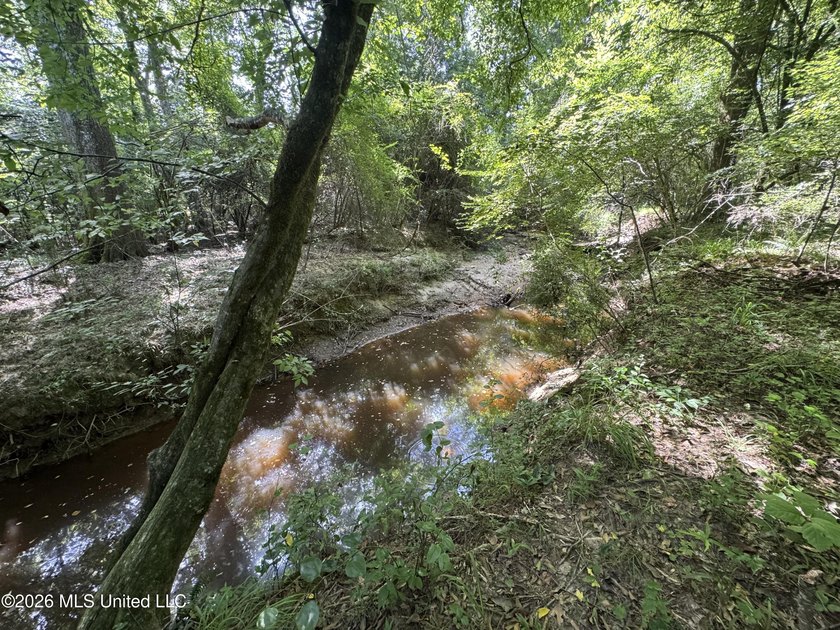 40+/- Acres - Topisaw Creek Recreational Tract Southwest - photo 6