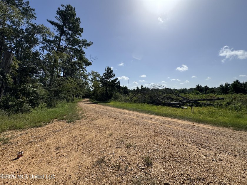 40+/- Acres - Topisaw Creek Recreational Tract Southwest - photo 8