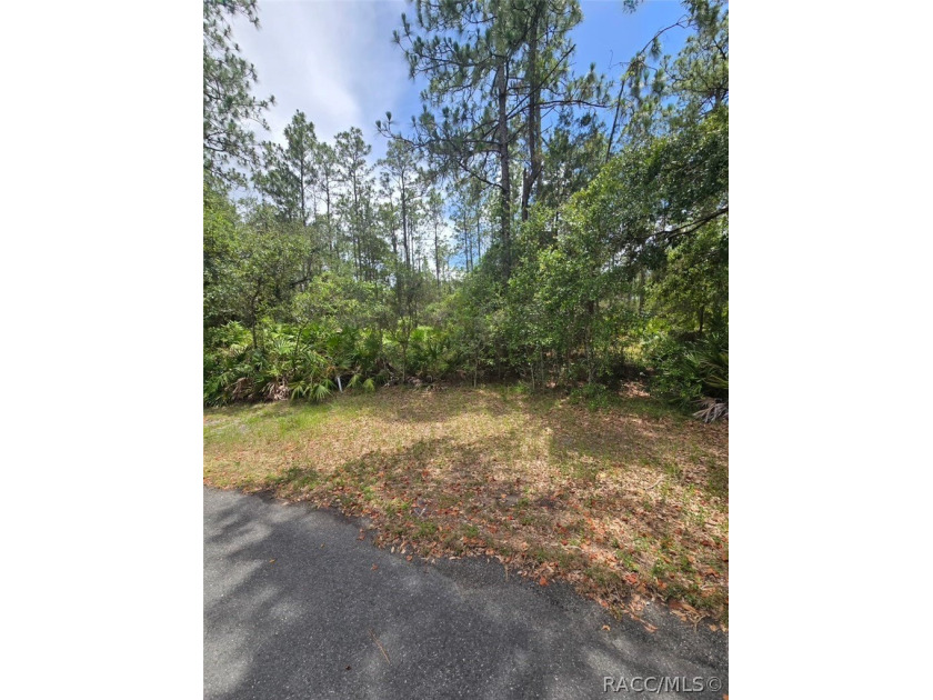 A 0.28-acre future homesite located on a quiet cul-de-sac in the - photo 2