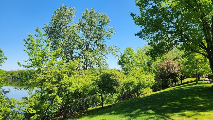 Imagine coming home to this peaceful, expansive, gorgeous view - photo 25