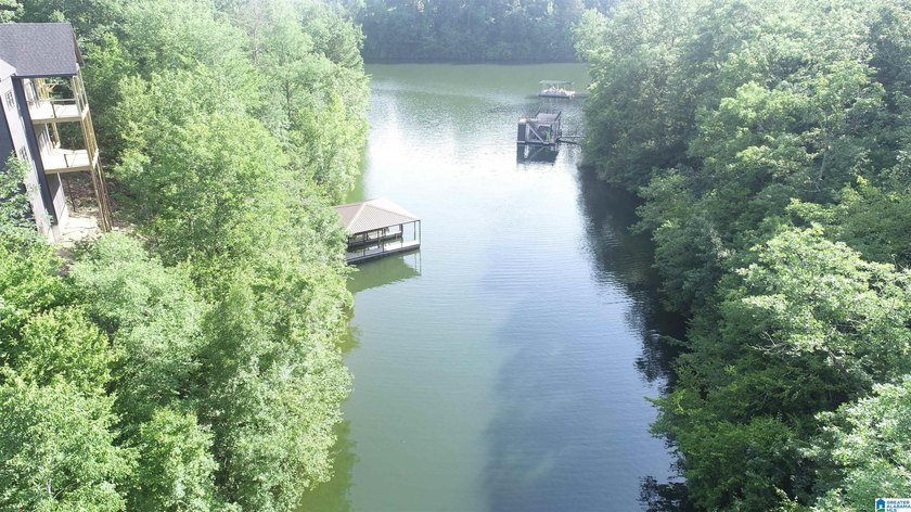 LOTS OF POTENTIAL WITH THESE TWO LAKE LOTS. LOCATED IN A QUIET - photo 6