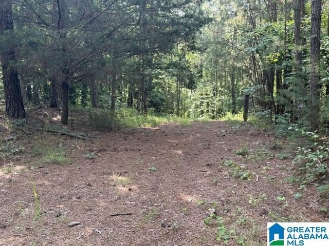 LOTS OF POTENTIAL WITH THESE TWO LAKE LOTS. LOCATED IN A QUIET - photo 9