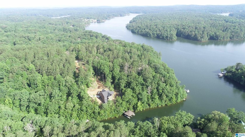 LOTS OF POTENTIAL WITH THESE TWO LAKE LOTS. LOCATED IN A QUIET - photo 10