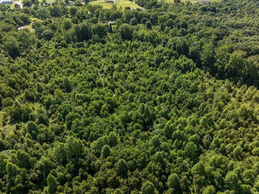 56.65+/- acre recreational and country estate opportunity near - photo 33