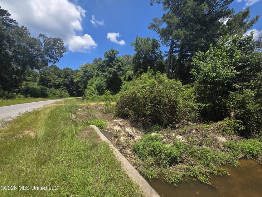 8+/- Acres Bordering Caney Creek Wildlife Management Area | - photo 2