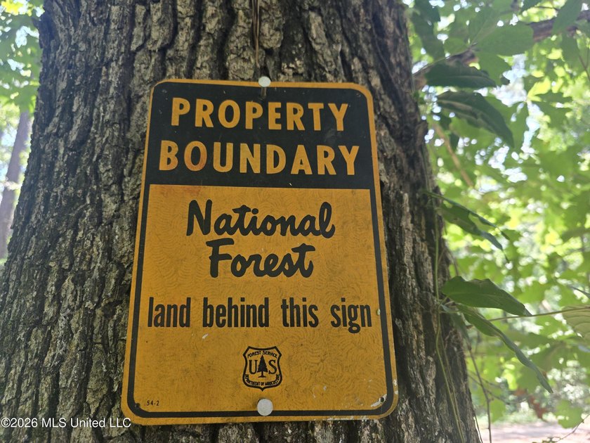 8+/- Acres Bordering Caney Creek Wildlife Management Area | - photo 3