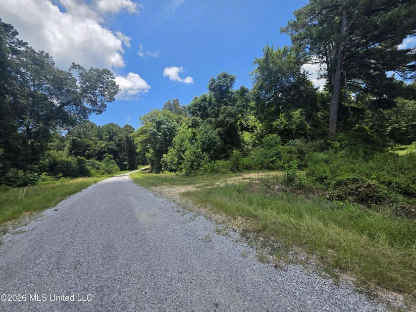 8+/- Acres Bordering Caney Creek Wildlife Management Area | - photo 4