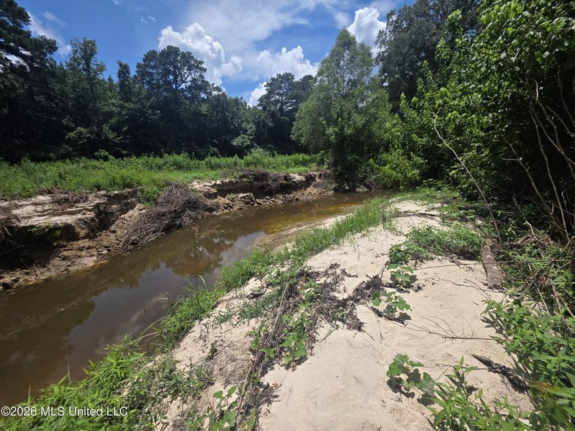 8+/- Acres Bordering Caney Creek Wildlife Management Area | - photo 5