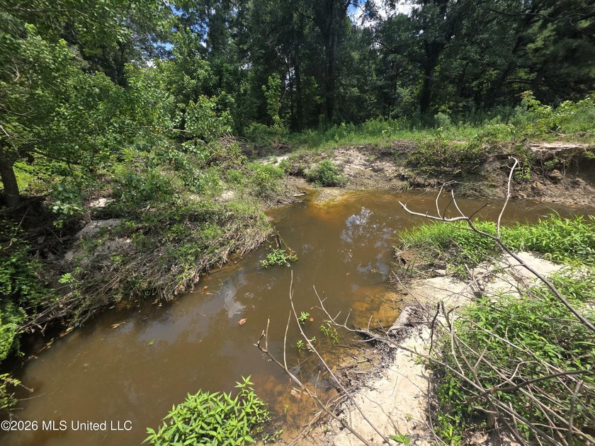 8+/- Acres Bordering Caney Creek Wildlife Management Area | - photo 6