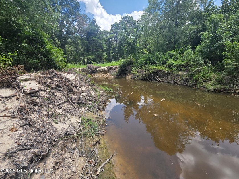 8+/- Acres Bordering Caney Creek Wildlife Management Area | - photo 8