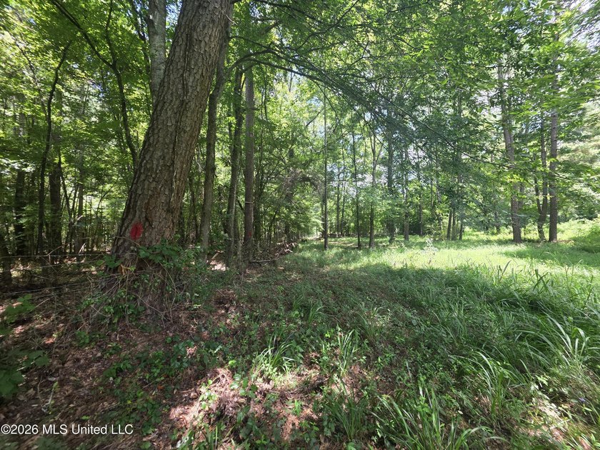 8+/- Acres Bordering Caney Creek Wildlife Management Area | - photo 9