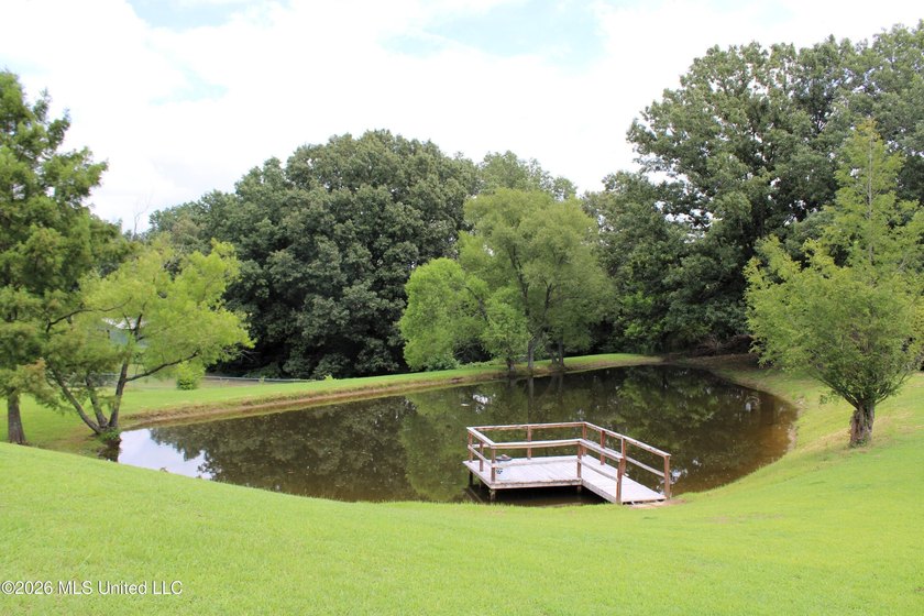 Located in South DeSoto Estates on 1.52 acres in the - photo 3
