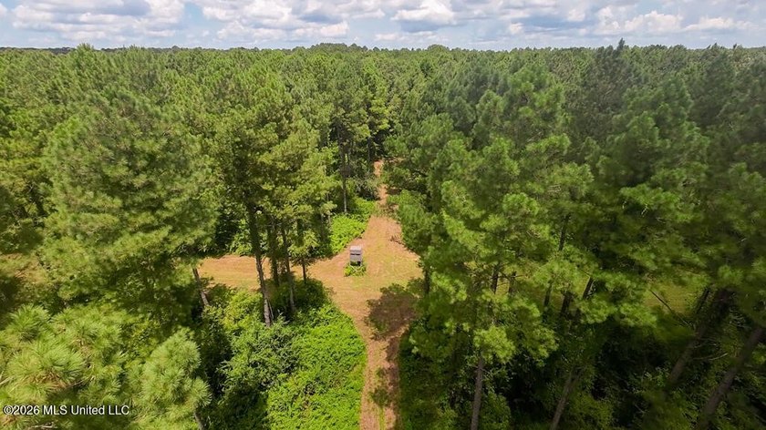 Set across 397 acres in Jefferson Davis County, Mississippi - photo 2