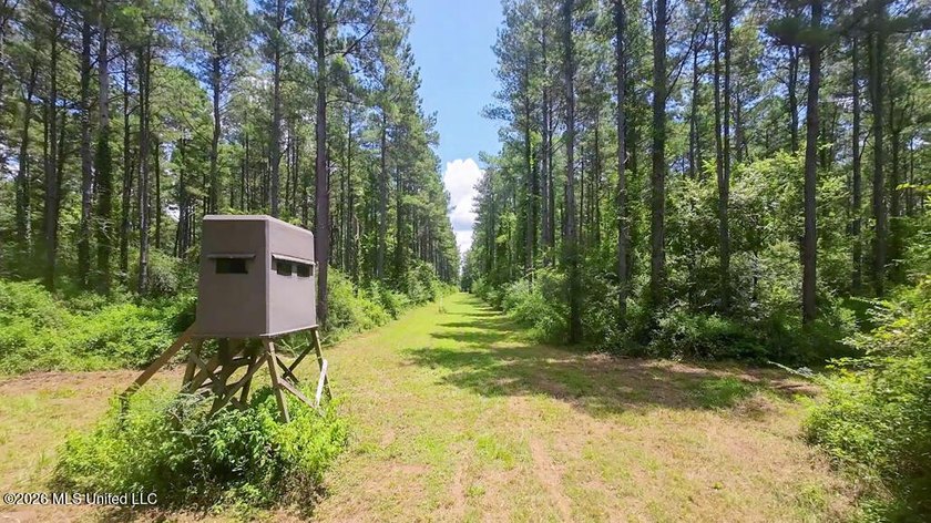 Set across 397 acres in Jefferson Davis County, Mississippi - photo 3