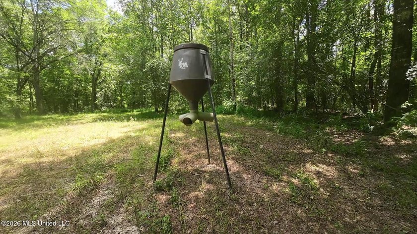 Set across 397 acres in Jefferson Davis County, Mississippi - photo 4