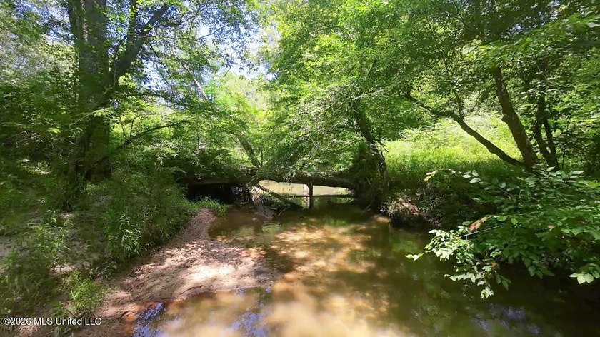 Set across 397 acres in Jefferson Davis County, Mississippi - photo 10