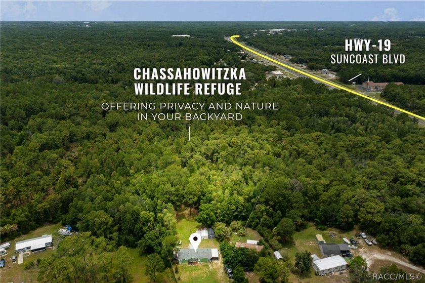 Backing directly to the Chassahowitzka National Wildlife Refuge - photo 2