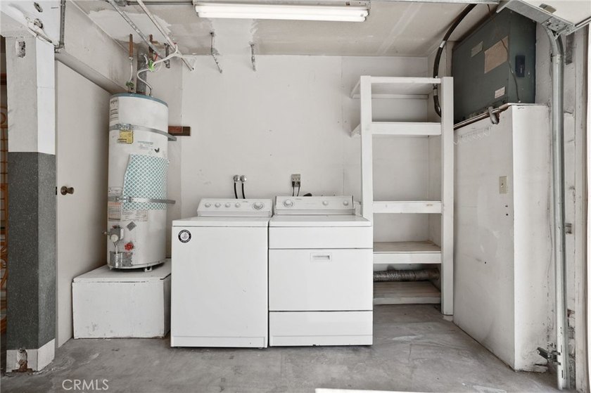 819 Coriander - photo 17