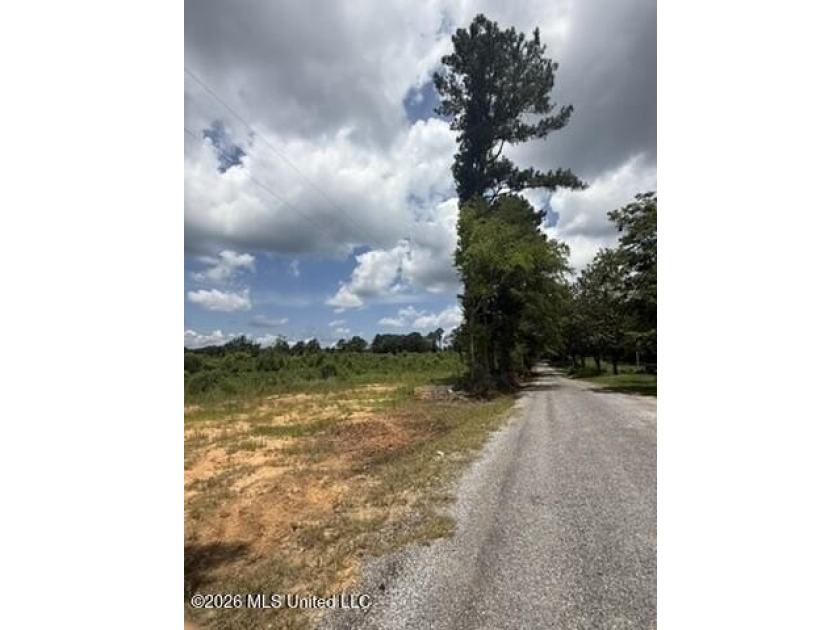 Located just outside of Mendenhall in Simpson County, this - photo 2