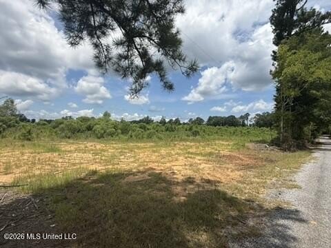 Located just outside of Mendenhall in Simpson County, this - photo 3