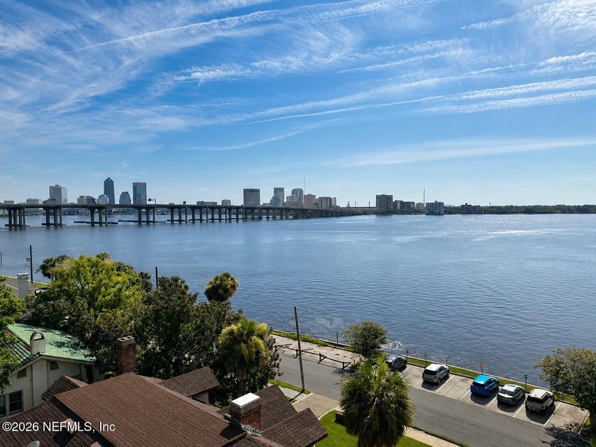 Enjoy breathtaking views of the downtown Jacksonville skyline - photo 8