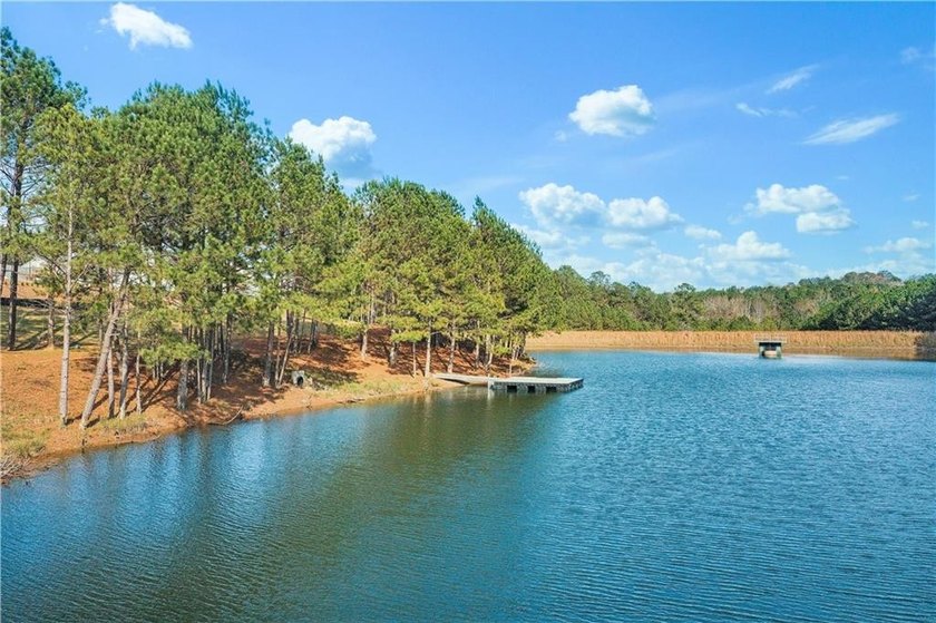Enjoy stunning views of Legacy Lake from your private sky - photo 33