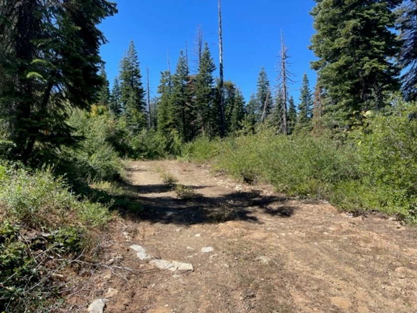 304 acres of incredible mountain property. Surrounded by USFS - photo 2