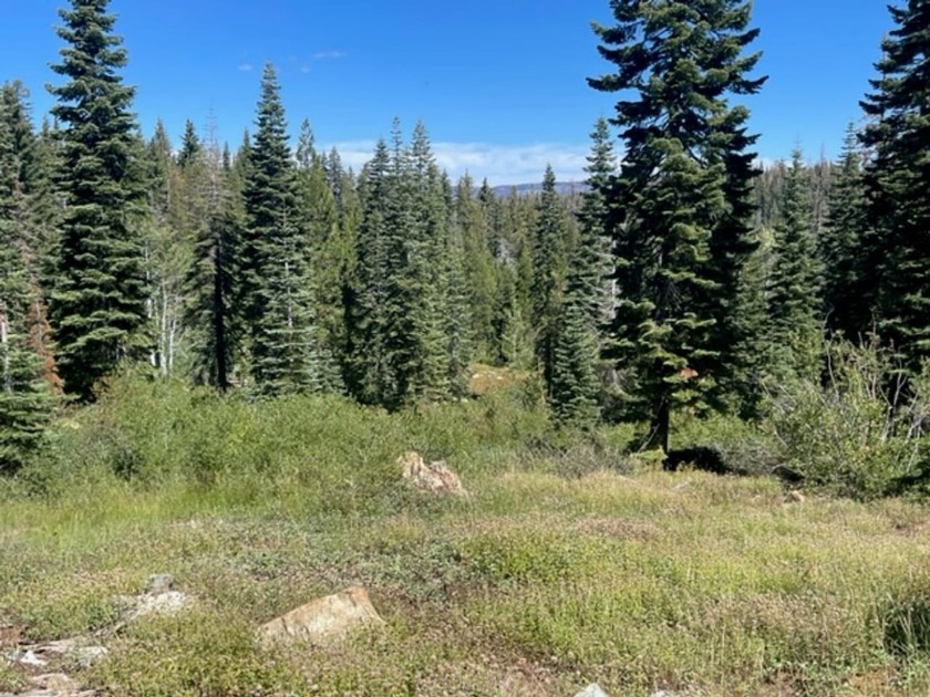 304 acres of incredible mountain property. Surrounded by USFS - photo 6
