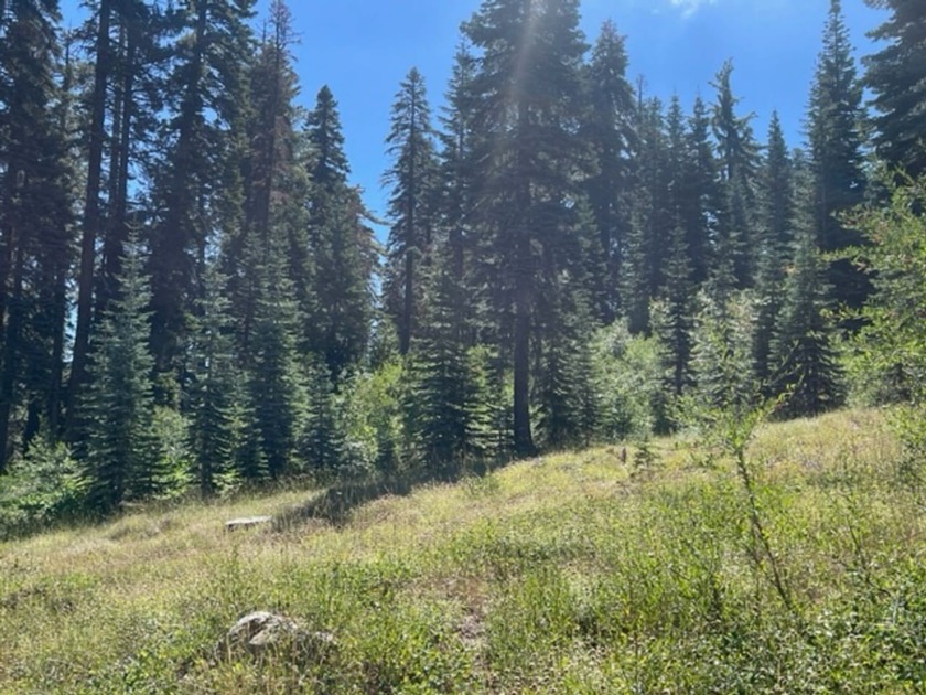 304 acres of incredible mountain property. Surrounded by USFS - photo 7
