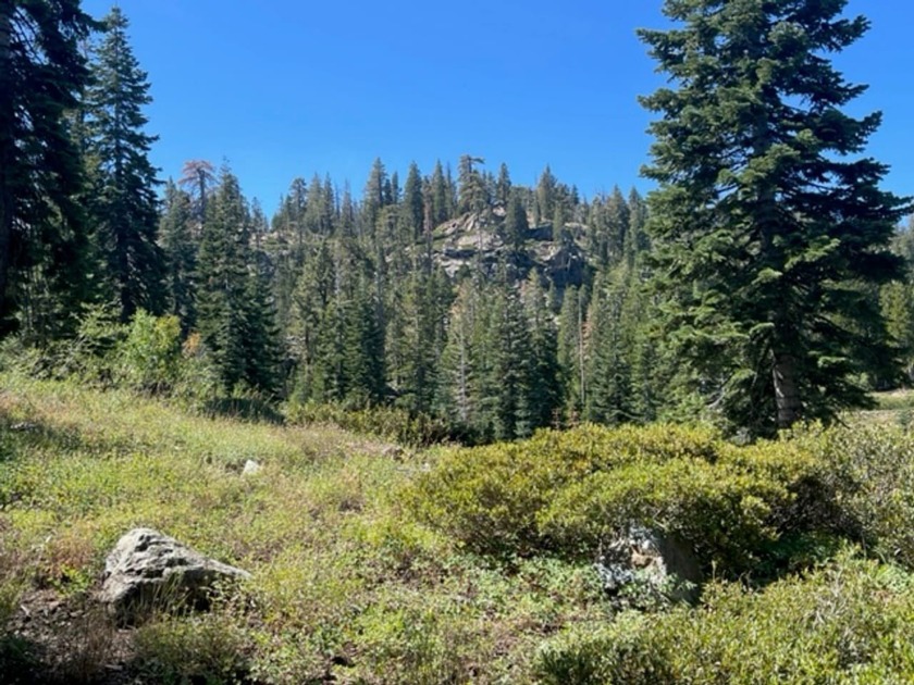 304 acres of incredible mountain property. Surrounded by USFS - photo 8