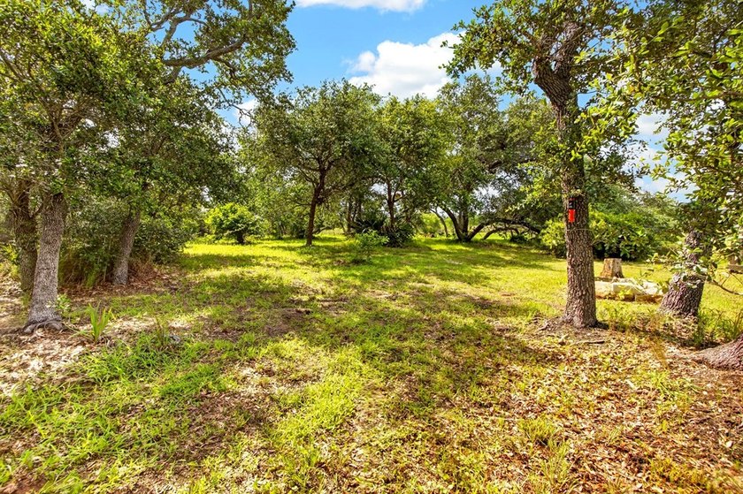 Welcome to Coastal Wild Wood, y'all! This 4-bedroom, 3-bath - photo 32