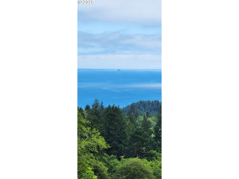 This newer 2bdrm 2 bath with study is tucked into a beautiful 1 - photo 4