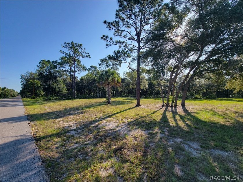 Fantastic opportunity to build your dream home on this spacious - photo 2