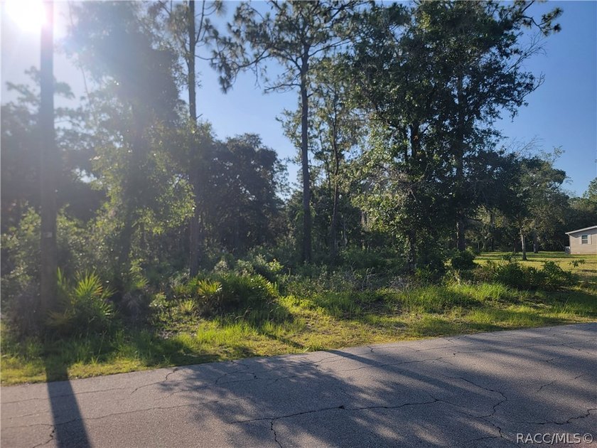 Fantastic opportunity to build your dream home on this spacious - photo 3