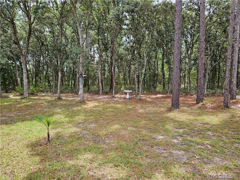 Congratulations, you have found one of the more stellar homes in - photo 8