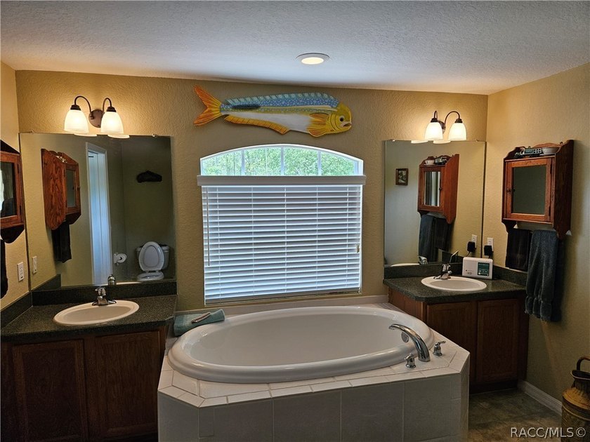 Congratulations, you have found one of the more stellar homes in - photo 9
