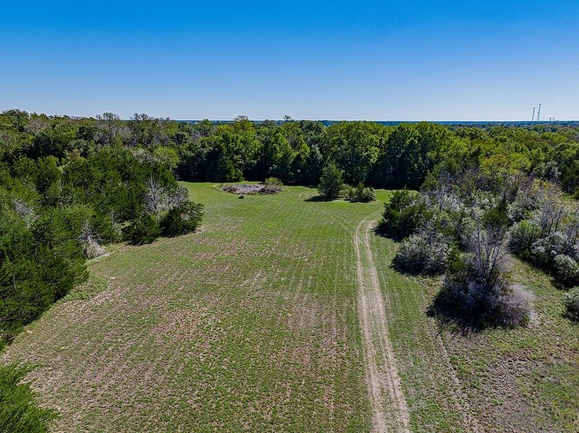 40 Acres - 1.3 Miles from Downtown Round Top - This prime - photo 3